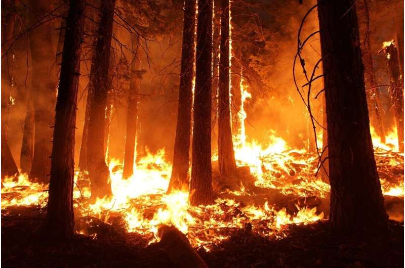 Credit: CC0 Public Domain fire