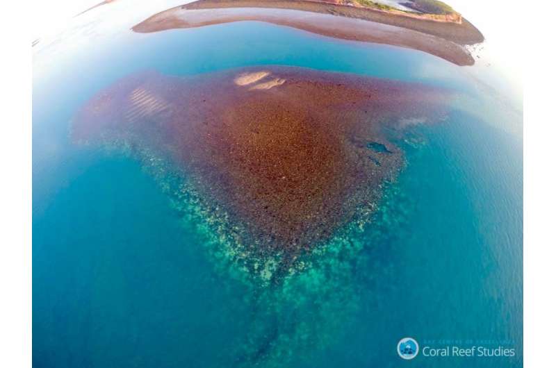 Research examines impact of coral bleaching on Western Australia's coastline