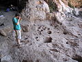 Thumbnail for version as of 13:57, 1 July 2013