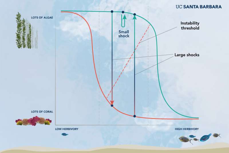 **Researchers show that tropical reefs can host coral or seaweed communities under the same conditions