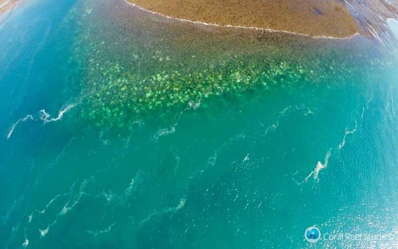 Research examines impact of coral bleaching on Western Australia's coastline