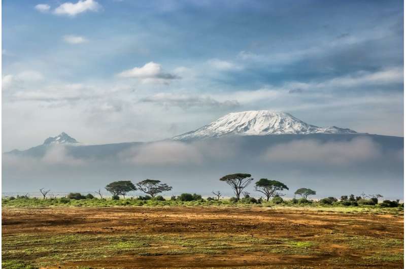 Credit: Unsplash/CC0 Public Domain africa
