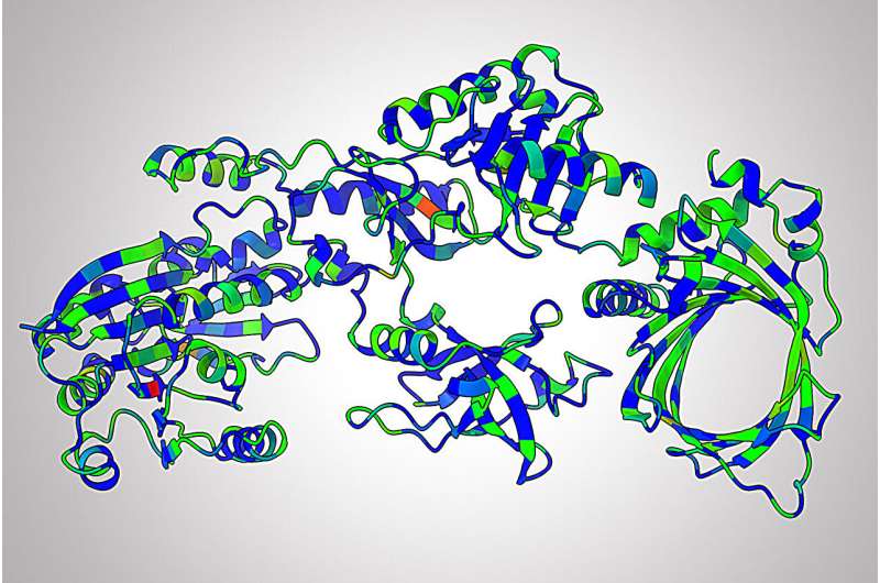 AI trained on evolution's playbook develops proteins that spur drug and scientific discovery