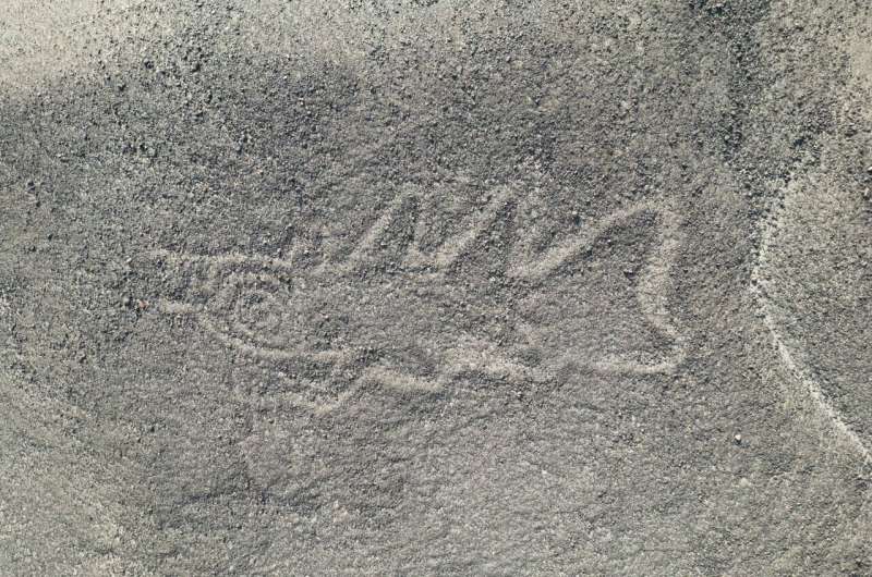 Archaeologists use AI to find hundreds of geoglyphs in Peru's Nazca Desert