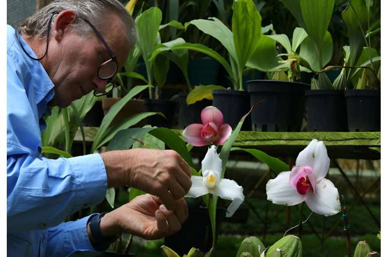 At 'The Soul of the Forest,' Piedrahita also gives cultivation classes, has an educational YouTube channel and an online school, which help fund operations