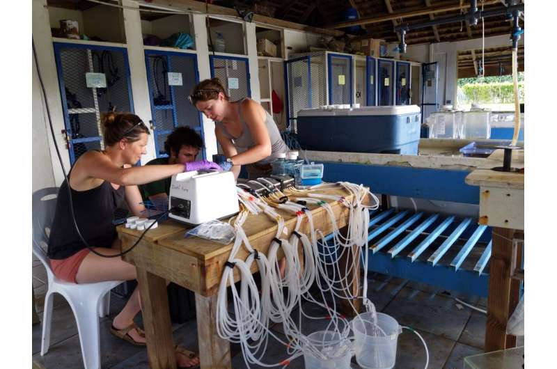 Compounds released by bleaching reefs promote bacteria, potentially stressing coral further