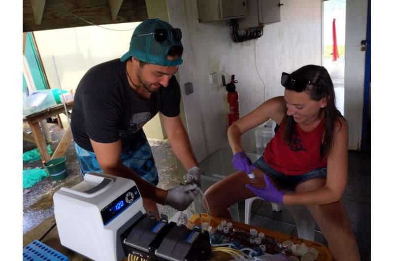 Compounds released by bleaching reefs promote bacteria, potentially stressing coral further