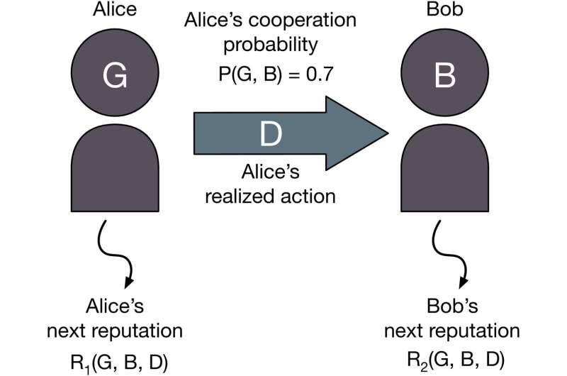 A schematic diagram of the model. Credit: PLOS Computational Biology (2023). DOI: 10.1371/journal.pcbi.1011271 Evolution of double-sided social norms