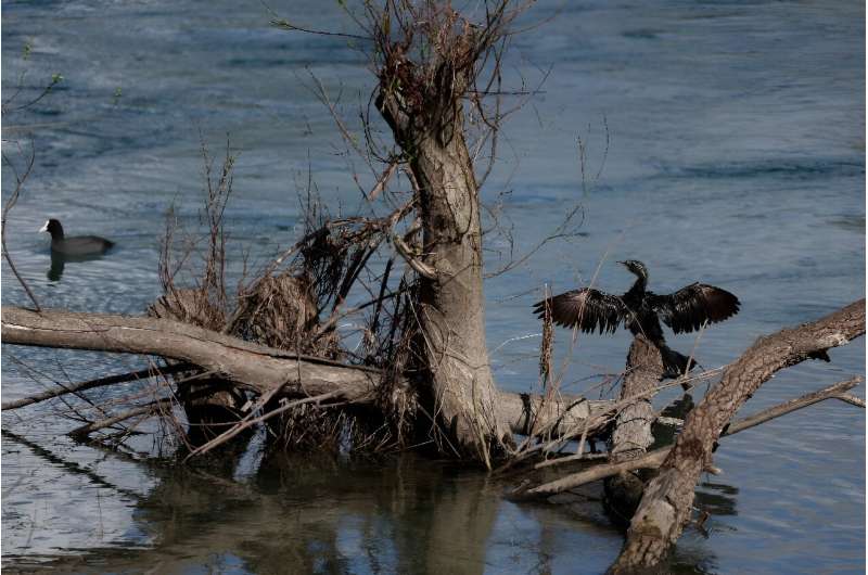 Experts warn that pollution and the degradation and destruction of habitats by humans  pose a significant risk to the rich variety of species in the area