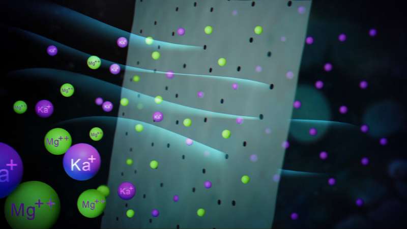 Filtering with mussel power: Nanomembrane allows efficient sieving of ions from liquids