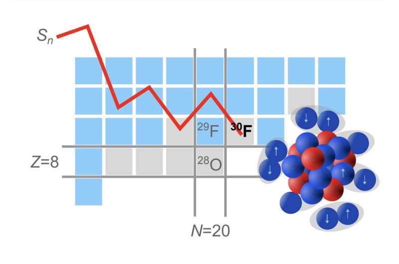 Findings gathered by the SAMURAI21-NeuLAND collaboration hint at a superfluid phase in 29F and 28O