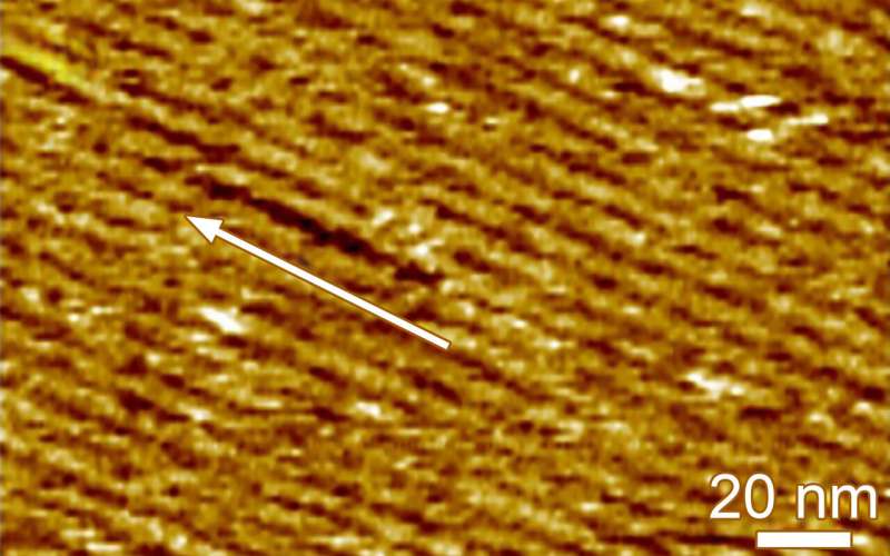 Flexible circuits made with silk and graphene on the horizon
