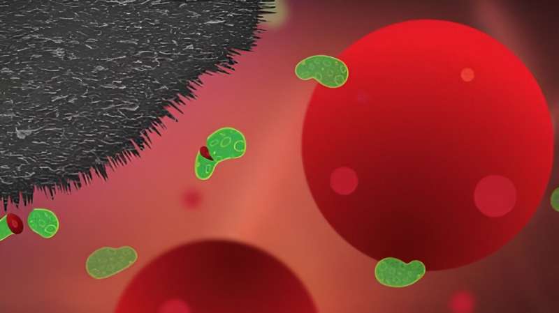 Graphene spike mat and fridge magnet technology to fight against antibiotic resistance