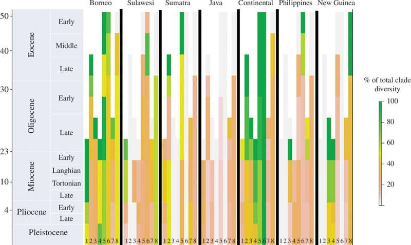 Reconstructed species richness over time across the IAA under intermediate rates of extinction scenario for eight taxonomic groups: (1) crabs, (2) parachuting frogs, (3) Pseuduvaria treelets, (4) orchids, (5) breadfruit, (6) taros, (7) Cyrtandra herbs, and (8) crickets. Credit: Proceedings of the Royal Society B: Biological Sciences (2024). DOI: 10.1098/rspb.2024.0966 Groundbreaking study revises the origins of biodiversity