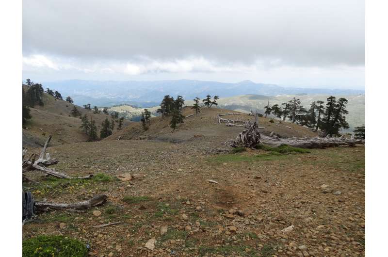 Wood samples from the Balkan region were among those analyzed for this study. Credit: Valerie Trouet Harvests, wildfires, epidemics: How the jet stream has shaped extreme weather in Europe for centuries