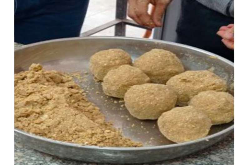 Measured amounts of Arabic gum and lecithin are kneaded into fish food before being dropped into fish tanks containing Nile tilapia fingerlings. Credit: Benha University / National Institute of Oceanography and Fisheries, Egypt Ingredients in chewing gum help tilapia survive cold climates