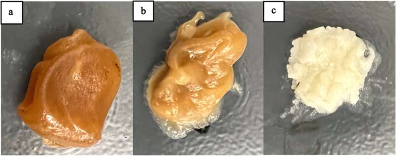 Innovative soy biodiesel byproduct transforms 3D printing industry