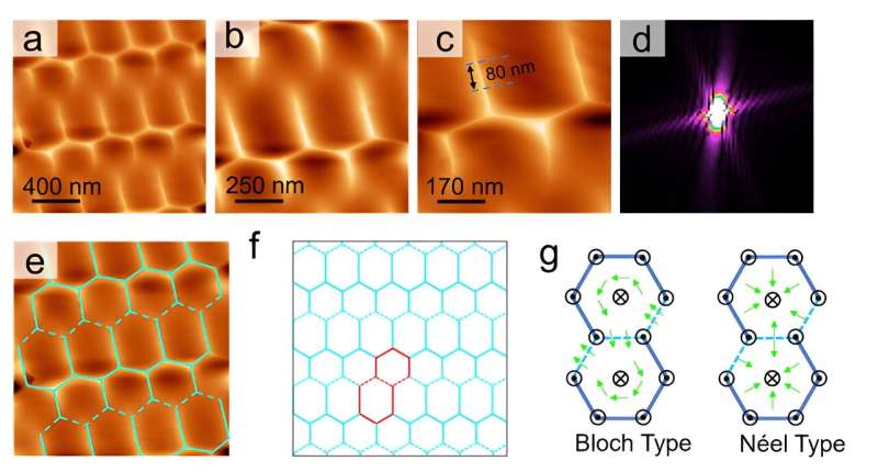 Intrinsic magnetic structure observed for the first time in a kagome lattice