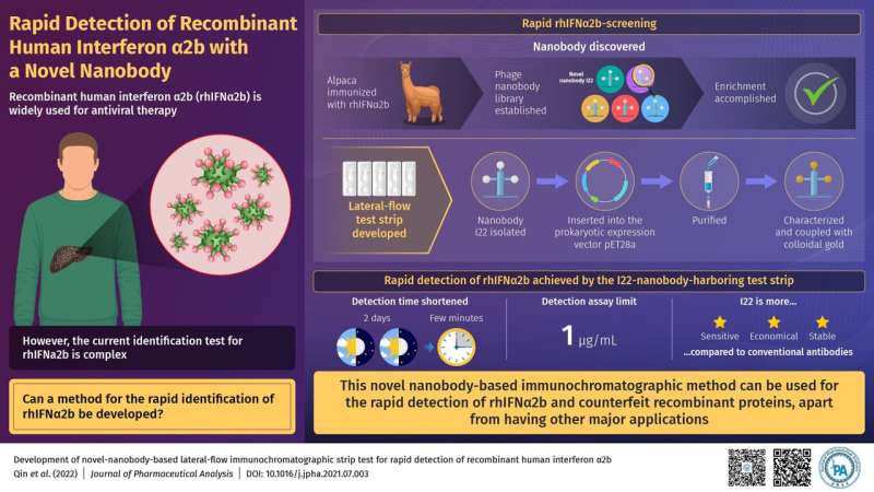 Development of novel-nanobody-based lateral-flow Immunochromatographic strip test for rapid detection of recombinant human interferon α2b. Credit: Journal of Pharmaceutical Analysis Journal of Pharmaceutical Analysis publishes method for the fast detection of a key antiviral