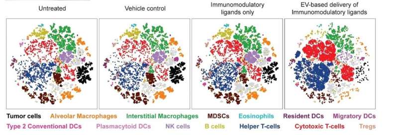 Modified nano-sized cell particles boost cancer immunotherapy, reduce side effects: NUS Medicine study