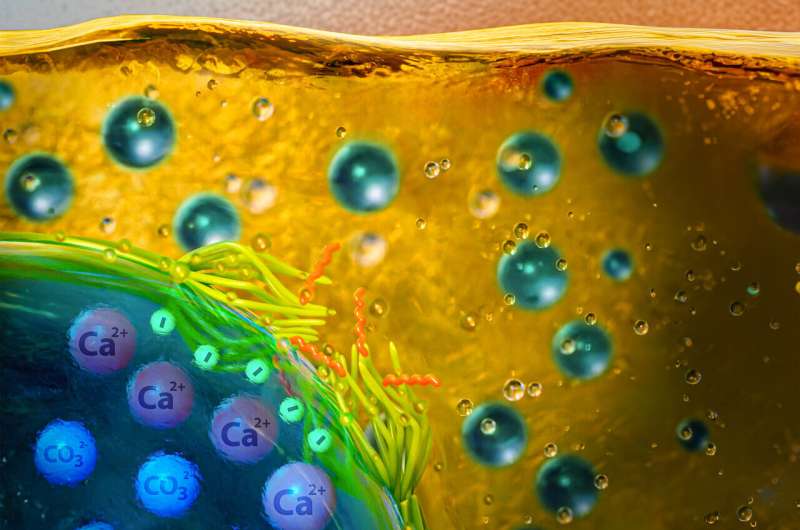 New material prevents mineral buildup in equipment handling water-oil mixtures