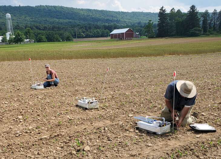 Master's degree student Allison Koehle and Felipe Montes, assistant research professor in the Department of Plant Science, collect nitrous oxide gas samples in spring, after corn planting at the Russell E. Larson Agricultural Research Center, Rock Springs, Pennsylvania. Credit: Armen Kemanian/Penn State Nitrous oxide emissions, coming from legume cover crops, manure, can be reduced