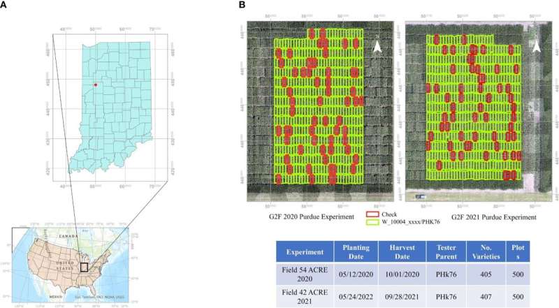 (A) Geographic location of maize experiments at Purdue University’s Agronomy Center for Research and Education. (B) Experimental plot layouts for GxE plant breeding experiments in 2020 and 2021. Check plots indicated in red. Credit: Frontiers in Plant Science (2024). DOI: 10.3389/fpls.2024.1408047 Researchers acquire and analyze data through AI network that predicts maize yield