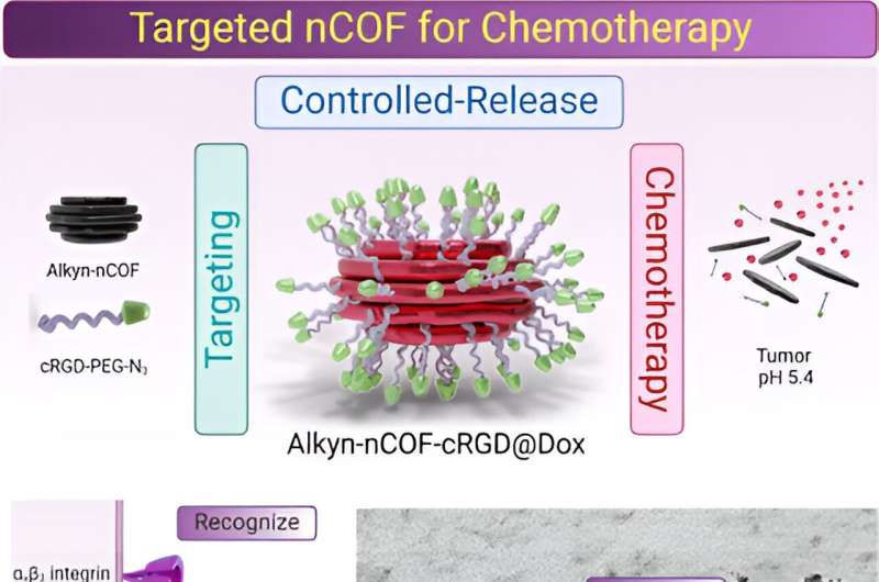 Researchers develop novel covalent organic frameworks for precise cancer treatment delivery