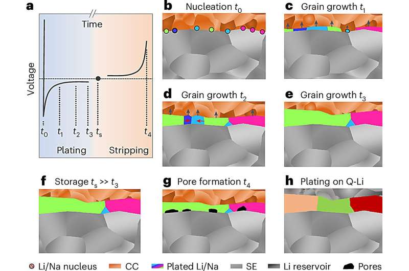 Researchers elucidate the microstructure of alkali metals deposited in a battery
