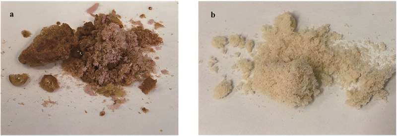 Revolutionizing waste management: Citrus waste to biopolymers via cavitation