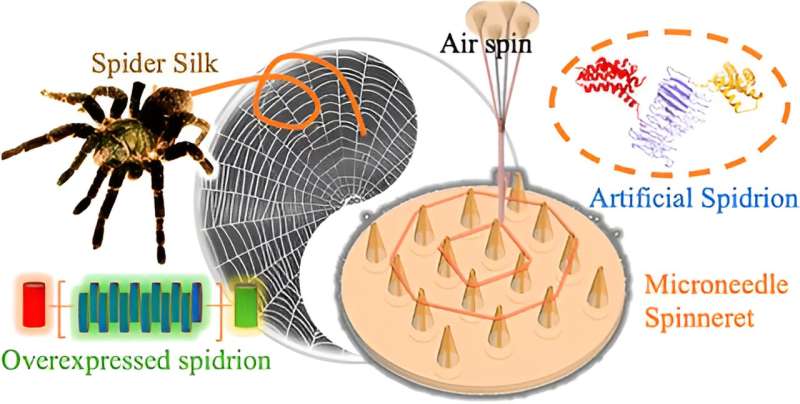 Spinning artificial spider silk into next-generation medical materials