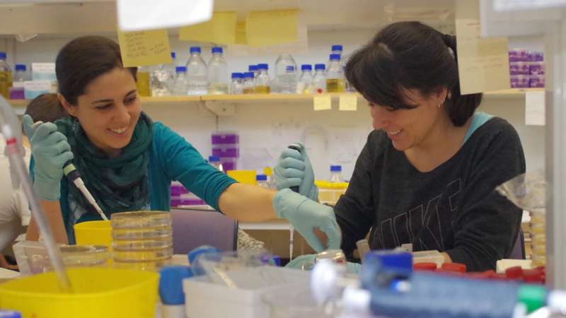 Study unveils a novel protective mechanism in bacterial cell wall