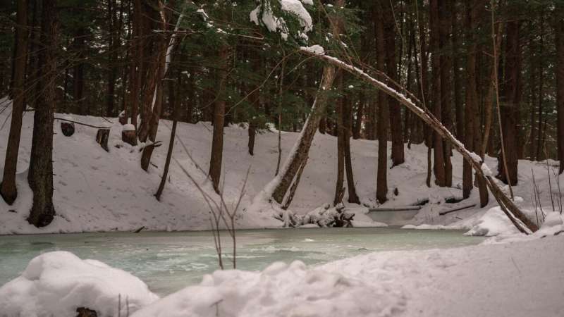 Wetlands under threat