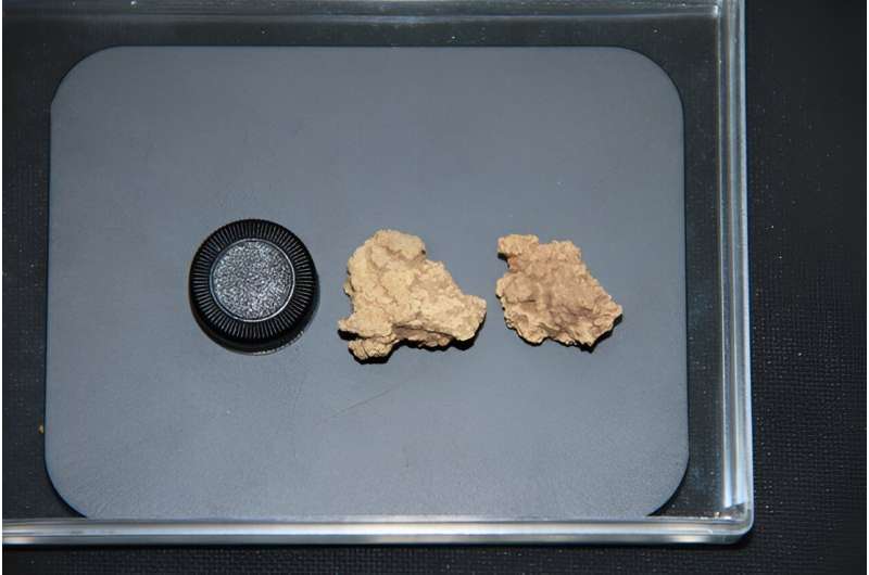 World's oldest cheese reveals origins of kefir